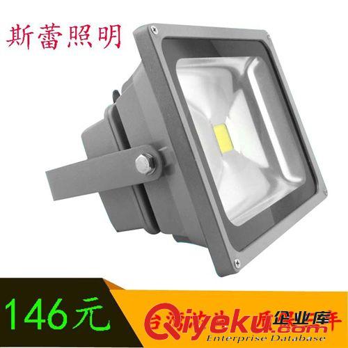 廠家直銷 供應 LED投光燈 50W 投光燈 泛光燈原始圖片3