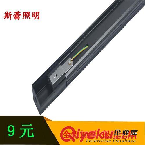 LED鋁材質 軌道射燈 軌道條 導軌燈 金鹵燈專用原始圖片2