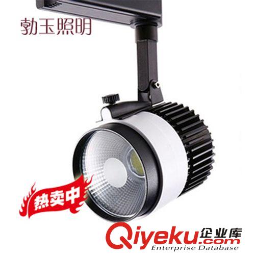 廠家直銷20WCOB軌道燈 服裝店射燈 櫥窗展廳背景墻燈 COB導軌燈