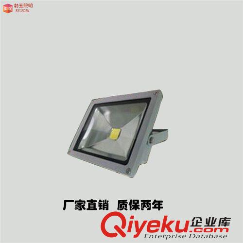 廠家直銷LED集成  舞臺100W戶外投光燈  質保兩年