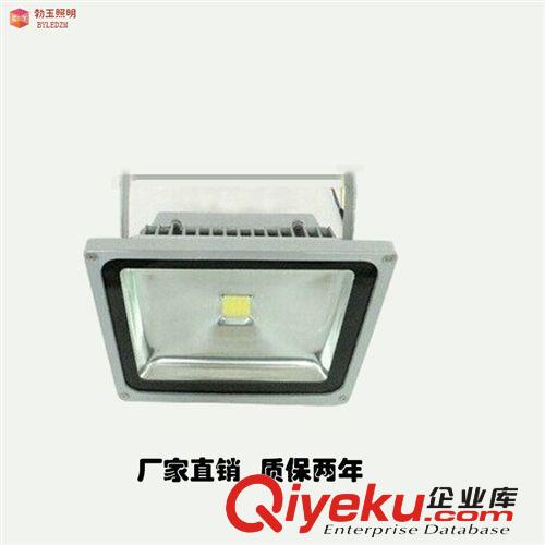 廠家直銷LED超亮投光燈50W  防水戶外燈 射燈 質保2年
