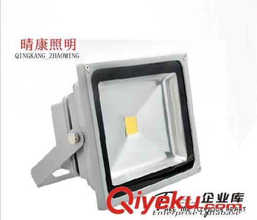 【IP65】100W廣告牌燈 100W投光燈 LED泛光燈 戶外亮化專用/防水