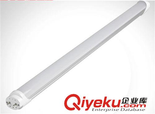 古鎮廠家直銷LEDT5 T8日光管 LED日光燈原始圖片2