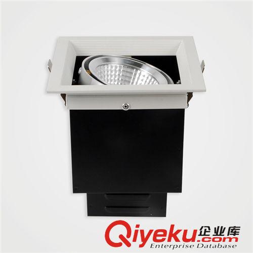 酒店商場服裝店進口COB高顯三頭15W斗膽燈 天花燈LED節能燈具