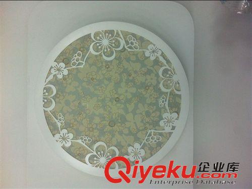 廠家直銷 圓形LED客廳吸頂燈 亞克力臥室燈具過道燈陽臺燈