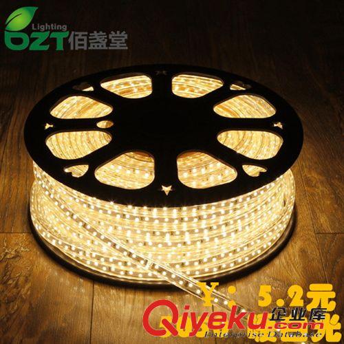 LED燈帶5050-60珠 正白暖白高亮燈條背景原始圖片2