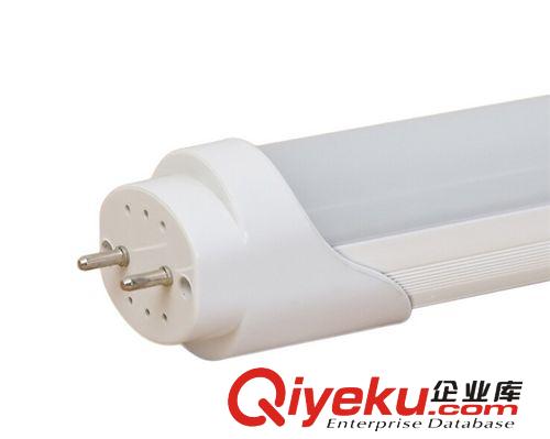 新款上市燈管 8wled日光燈 t8led日光燈8w 質保兩年原始圖片3