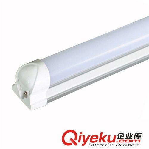 新款上市燈管 8wled日光燈 t8led日光燈8w 質保兩年