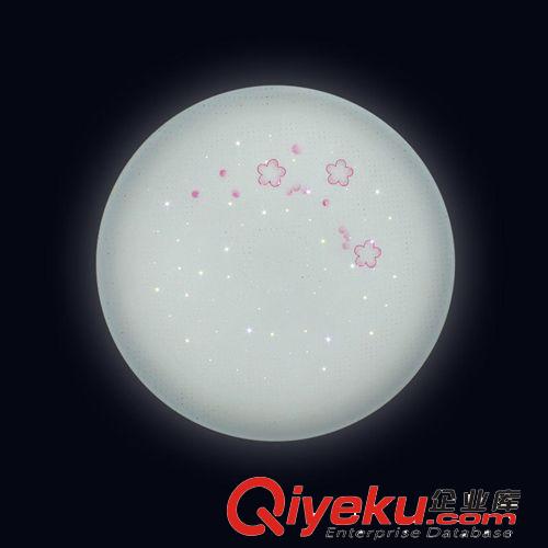 專業LED照明燈具 家居LED吸頂燈 圓形簡約亞克力吸頂燈22W原始圖片3