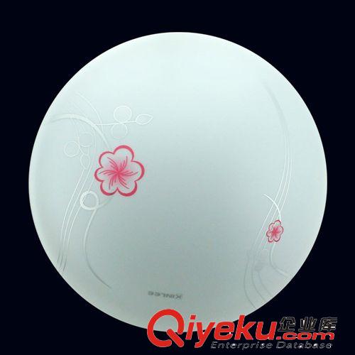 專業LED照明燈具 家居LED吸頂燈 圓形簡約亞克力吸頂燈22W