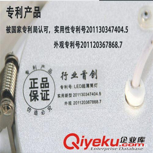 向陽新款上市超薄LED筒燈LED天花燈 10寸LED燈24W廠家直銷原始圖片2
