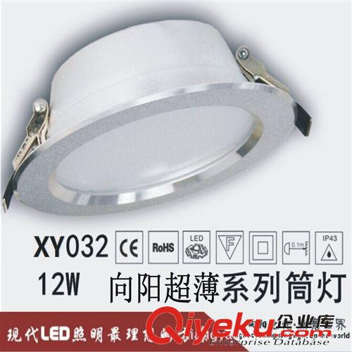 向陽新款上市超薄LED筒燈LED天花燈 10寸LED燈24W廠家直銷原始圖片3