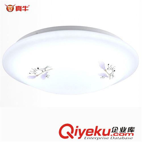 LED玻璃日光管T81.2米18W，超亮，散熱好！恒流驅(qū)動(dòng)，無暗區(qū)