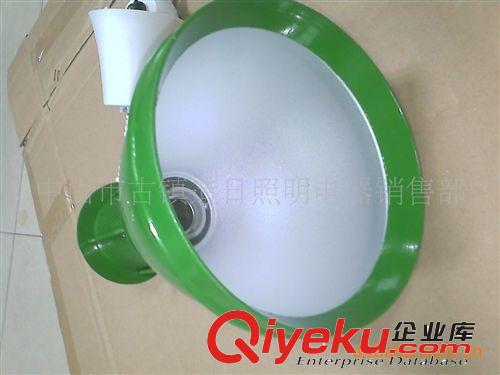 超市燈蔬菜區(qū)生鮮燈外殼190MM，LED9W綠色燈罩，自產(chǎn)直銷。原始圖片3