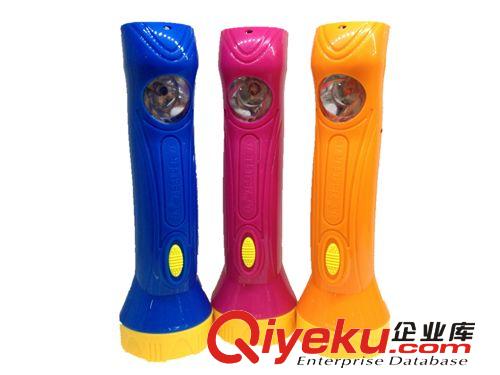供應(yīng)個(gè)性手電筒 LED充電手電筒 強(qiáng)光手電筒原始圖片2