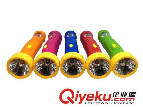 供應(yīng)個(gè)性手電筒 LED充電手電筒 強(qiáng)光手電筒原始圖片3