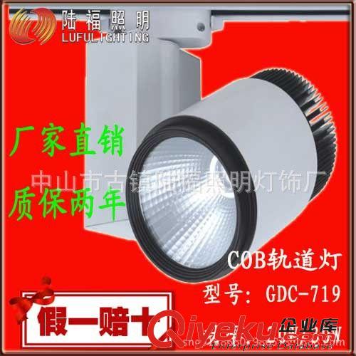 廠家直銷tj 715COB導軌燈LED導軌燈服裝店家具店專用COB燈具