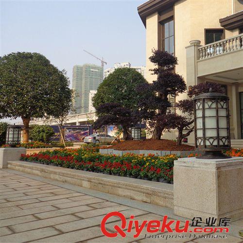 中山厂家批发供应 铁制品围墙柱头灯 柱子灯 量大从优  焊接工艺原始图片2