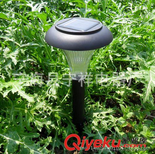 供應批發太陽能草坪燈RG-5024A不銹鋼射燈,太陽能草地燈,投射燈