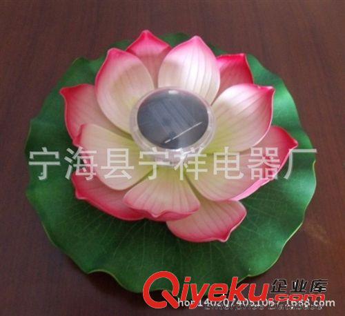 供應批發太陽能荷花燈RG-5062太陽能蓮花燈 太陽能水漂燈原始圖片2