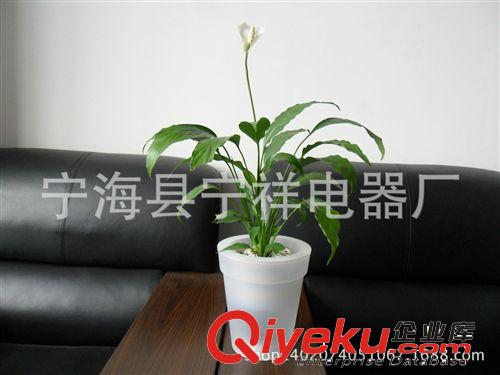 供應批發太陽能荷花燈RG-5062太陽能蓮花燈 太陽能水漂燈