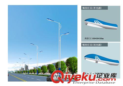 【專業廠家】LED路燈 太陽能環保照明燈具 道路照明 優質熱鍍鋅原始圖片2