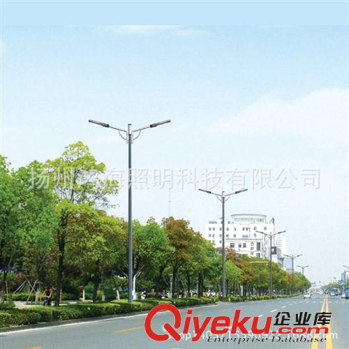 廠家直銷LED單臂雙臂道路路燈道路照明小區照明學校照明來圖定制