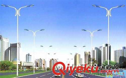 道路燈 按客戶要求定制各種道路燈 精品路燈 仿古路燈 批發(fā)銷(xiāo)售原始圖片3