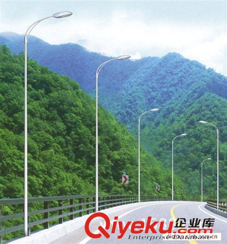 道路燈加工 按客戶要求定制各種道路燈 高桿燈 仿古路燈 路燈廠家原始圖片2