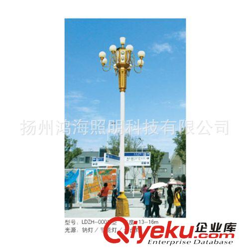 廠家生產景觀中華燈道路照明庭院照明廣場照明球場燈光可來電定制