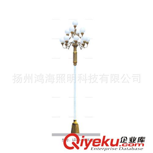 廠家生產(chǎn)景觀中華燈道路照明庭院照明廣場照明球場燈光可來電定制