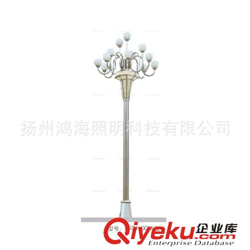 加工定做批發生產各種組合燈中華燈道路照明戶外照明大功率照明