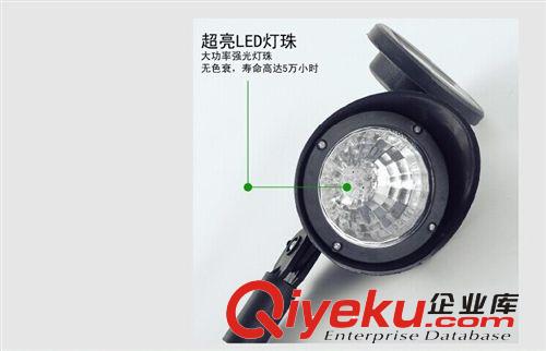 廠家直銷LED庭院燈太陽能草坪燈射燈慈溪燈具花園裝飾戶外照明原始圖片3