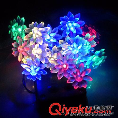 LED燈串 圣誕彩燈 led太陽能燈串 雪花套件 毛毛球燈 LED套花