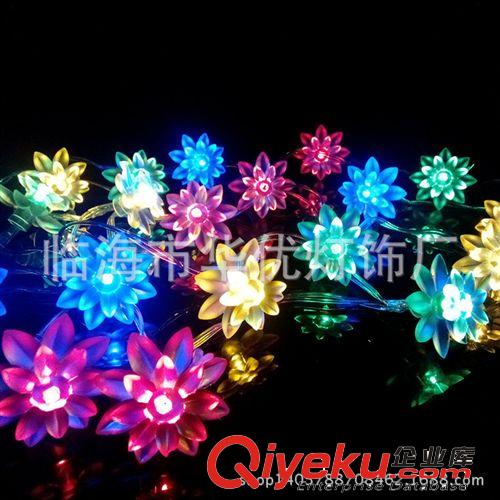 led節日彩燈 電池燈串 彩色荷花燈串 婚慶裝飾彩燈燈串 圣誕裝飾原始圖片2