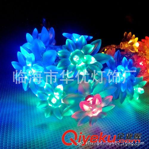led節日彩燈 電池燈串 彩色荷花燈串 婚慶裝飾彩燈燈串 圣誕裝飾原始圖片3