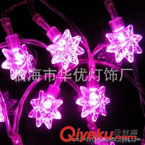 LED電池套花彩燈燈串  led扇貝套件 節日彩燈 戶外防水串燈 婚慶