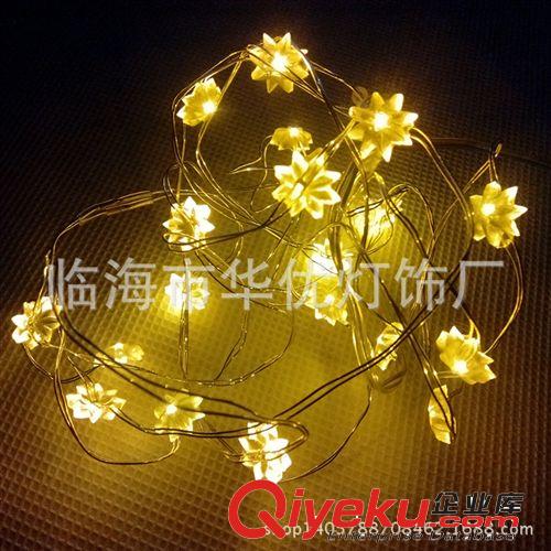 led銅線燈 led電池盒銅線燈串 led彩燈 圣誕裝飾 迷你套花銅線燈原始圖片3