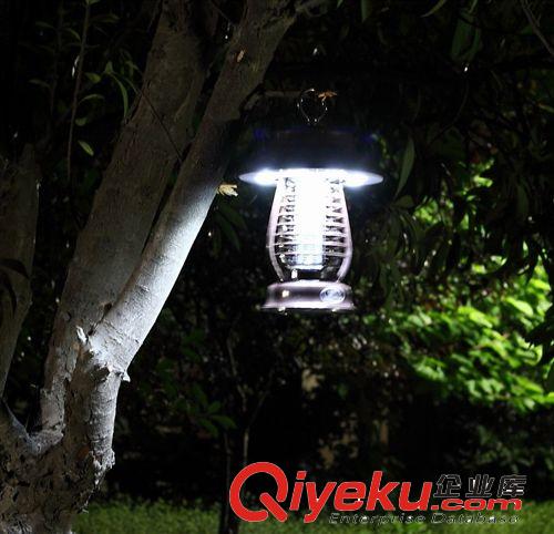 太陽能滅蚊燈 太陽能led滅蚊燈 戶外戶內(nèi)太陽能滅蚊燈 led滅蚊燈原始圖片3