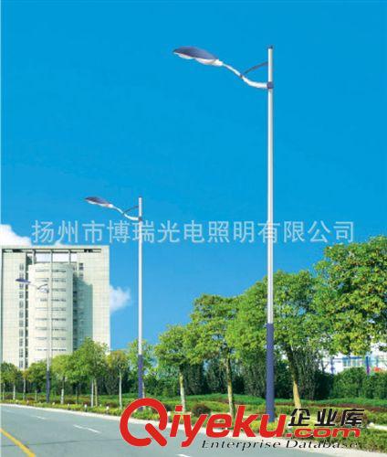 路燈廠 常年供應(yīng)各款單臂道路燈 造型獨特 節(jié)能 歡迎選購