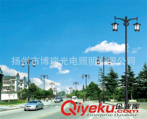 高品質長壽命雙臂高桿燈 道路照明燈 戶外照明燈 室外雙臂燈批發原始圖片2