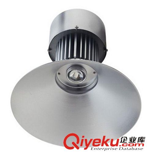 供應(yīng)高品質(zhì)集成led工礦燈50W工廠車間專用工礦燈50W 工礦燈原始圖片3
