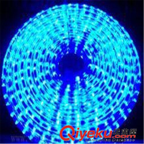 供應(yīng)扁五線LED彩虹管原始圖片2