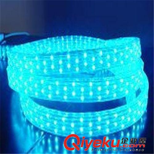 供應(yīng)扁五線LED彩虹管原始圖片3