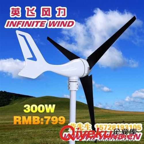 300W 24V小型風(fēng)力發(fā)電機(jī)多少錢(qián)_300W風(fēng)光互補(bǔ)路燈發(fā)電機(jī)原始圖片2