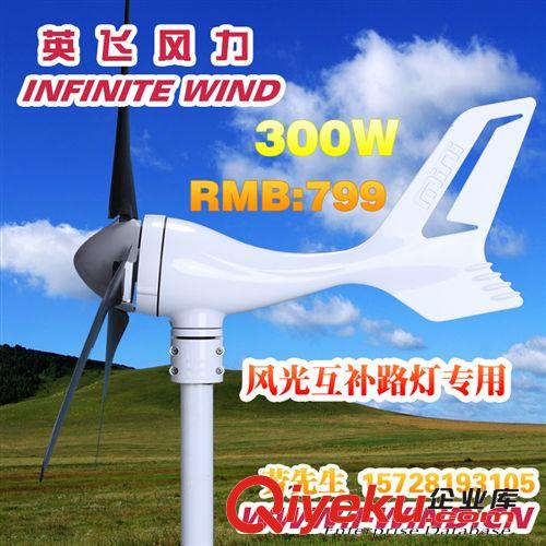 300W 24V小型風(fēng)力發(fā)電機(jī)多少錢(qián)_300W風(fēng)光互補(bǔ)路燈發(fā)電機(jī)原始圖片3