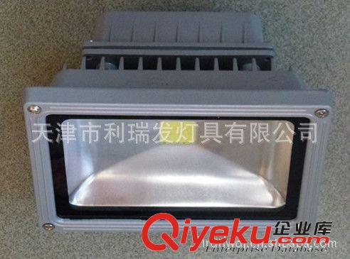 廠家供應(yīng)低價優(yōu)質(zhì).天津市燈具 LED燈具 承攬大型景觀燈加工定做原始圖片3