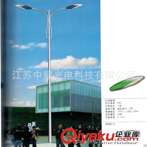 2014年精品LED路燈燈桿    精品LED路燈燈桿 廠家直銷(xiāo)原始圖片3