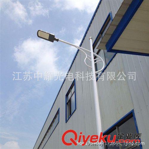 <集成30W LED精品路燈批發(fā)> 精品集成LED路燈   廠家直銷原始圖片3