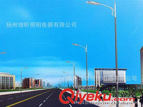 {zx1}款 太陽(yáng)能路燈 太陽(yáng)能燈  led太陽(yáng)能路 led太陽(yáng)能燈原始圖片3